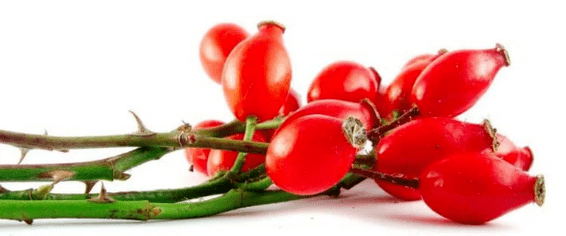 Rosehip with cystitis